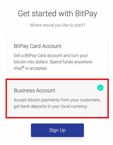 BitPay business account