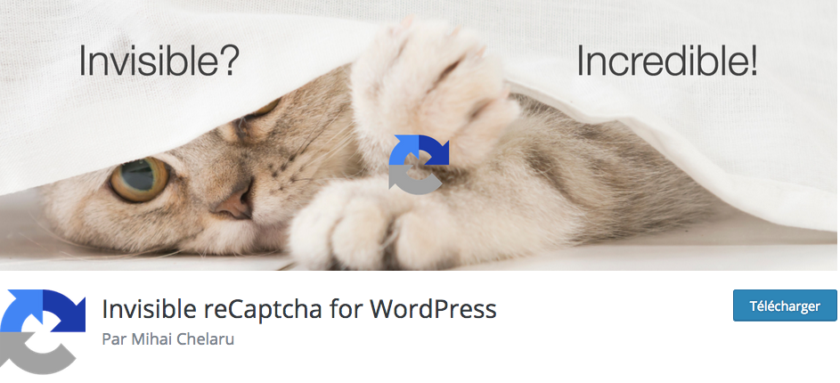 wordpress captcha plugin