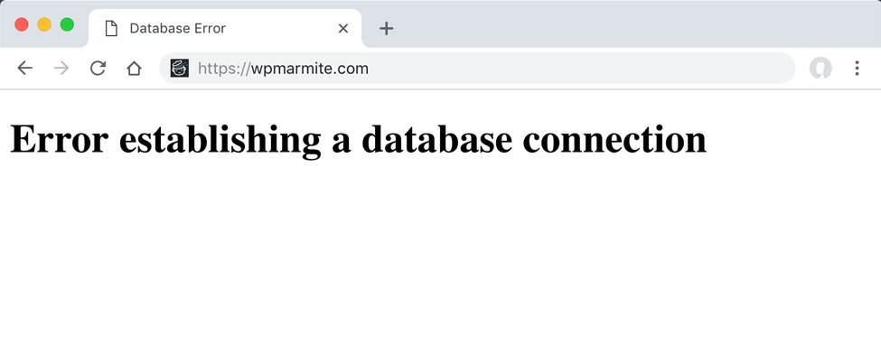 Error connecting to the database of a WordPress site.