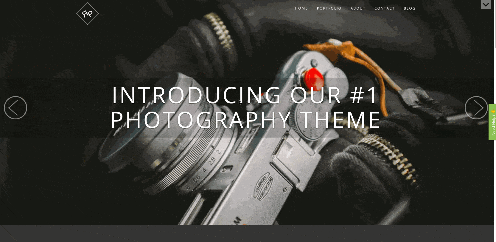 RokoPhoto est un thème WordPress pour photographe