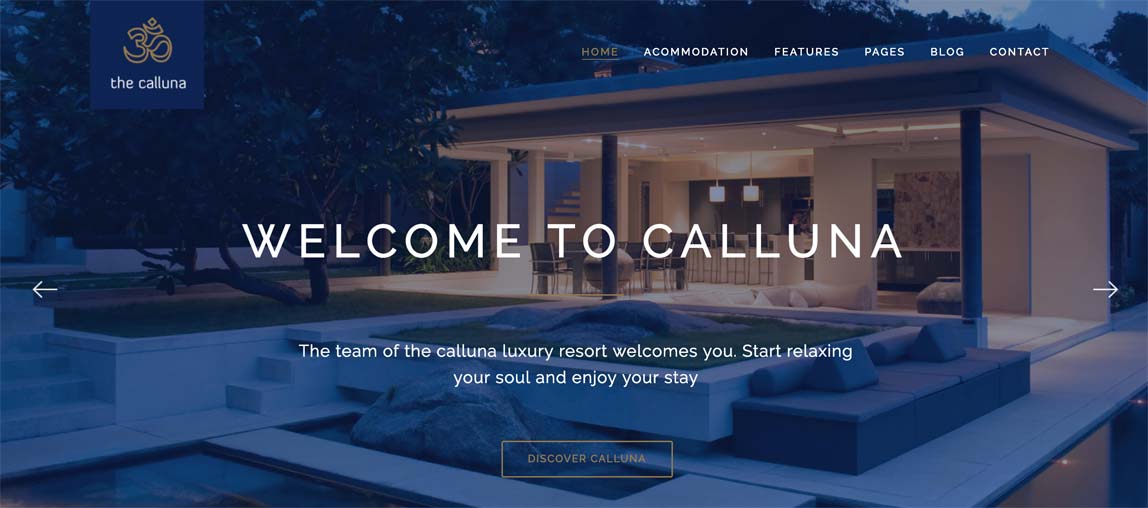 Homepage du thème Callluna