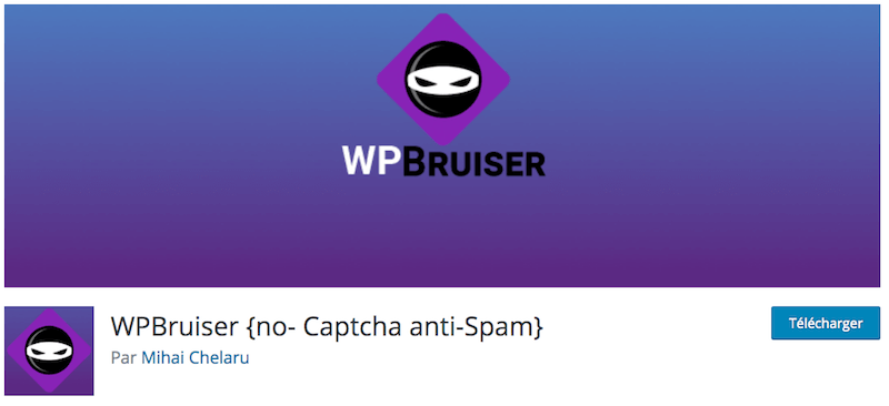 WPBruiser est une véritable boîte à outils contre les spammeurs du web