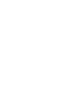 WPChef, la formation WordPress de référence