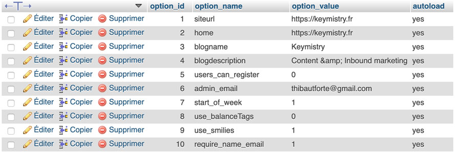The wp_options table from the WordPress database.