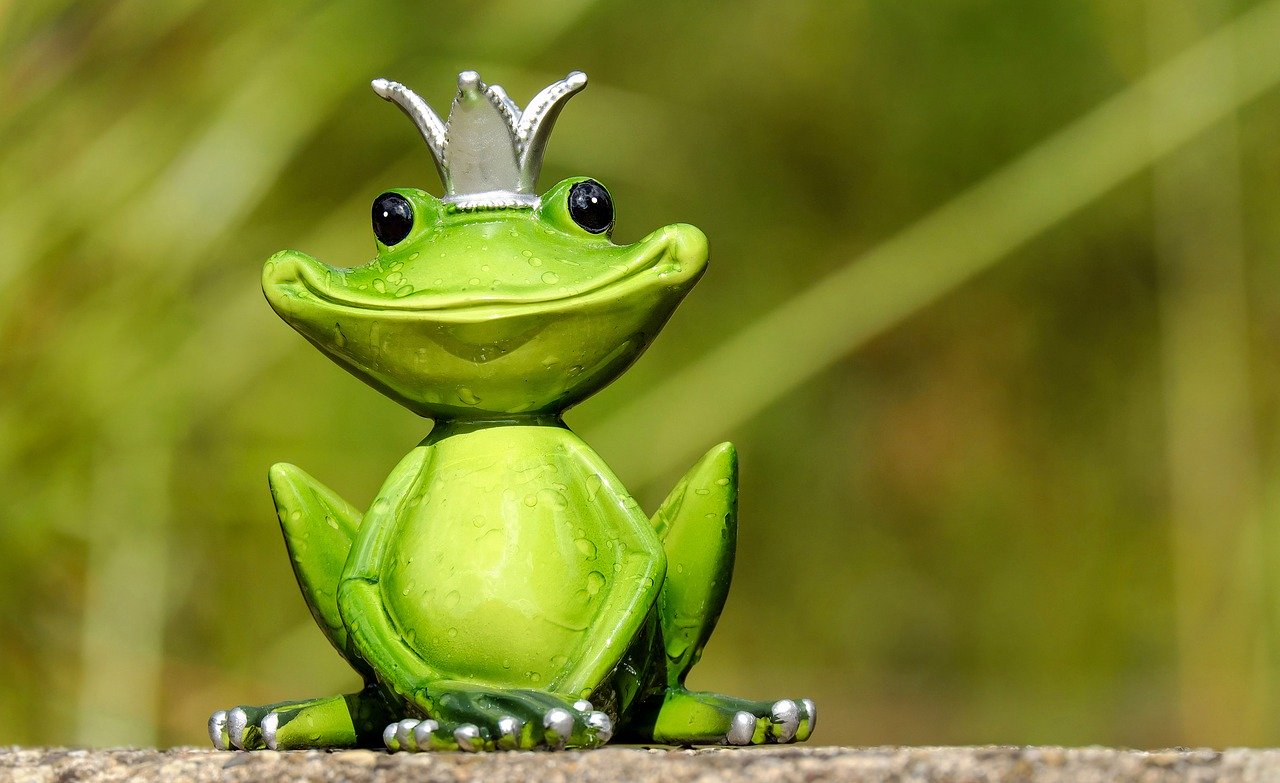 smiling seated frog wearing a crown