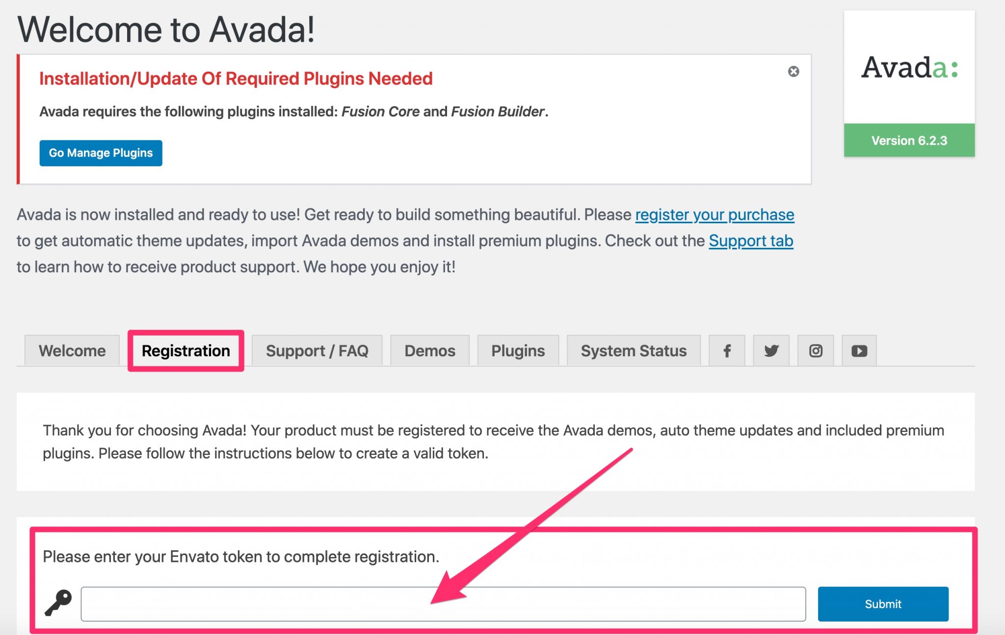 Avada theme registration token
