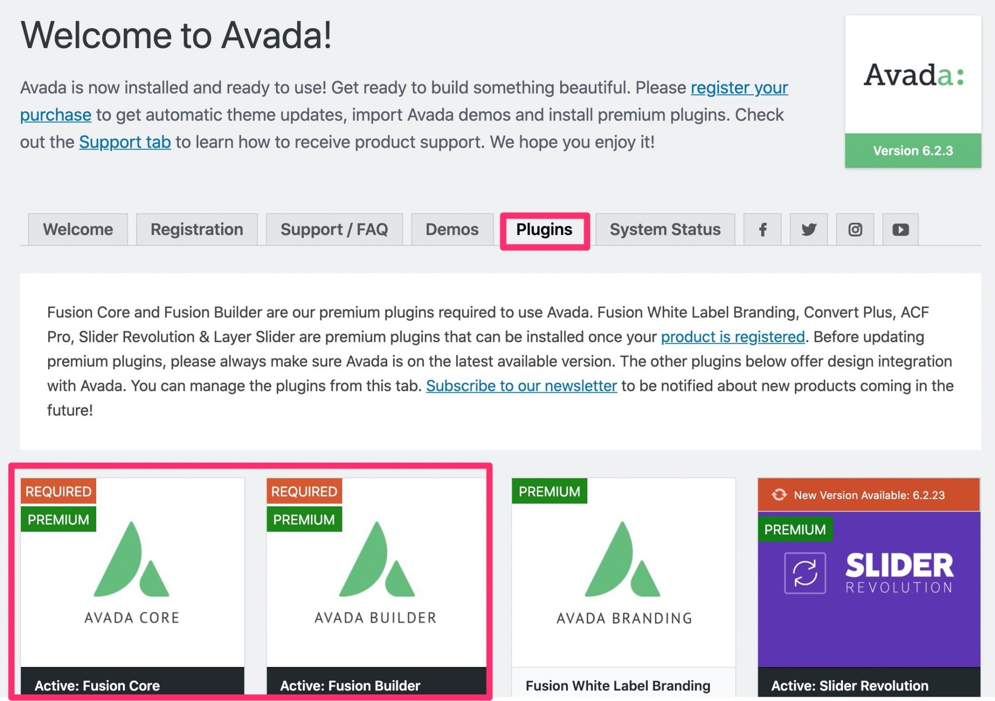 plugins activation of Avada theme
