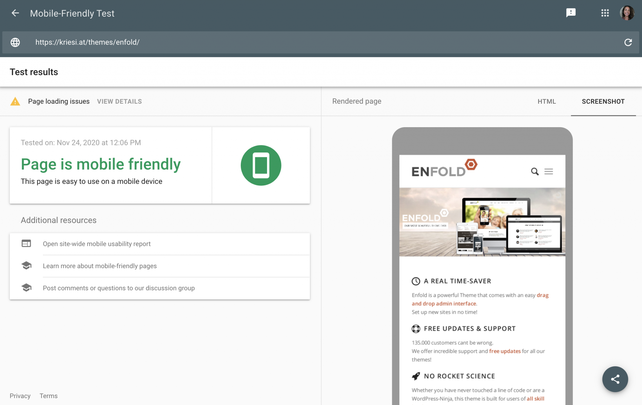 Google Mobile-Friendly Test for the responsive check of Enfold theme