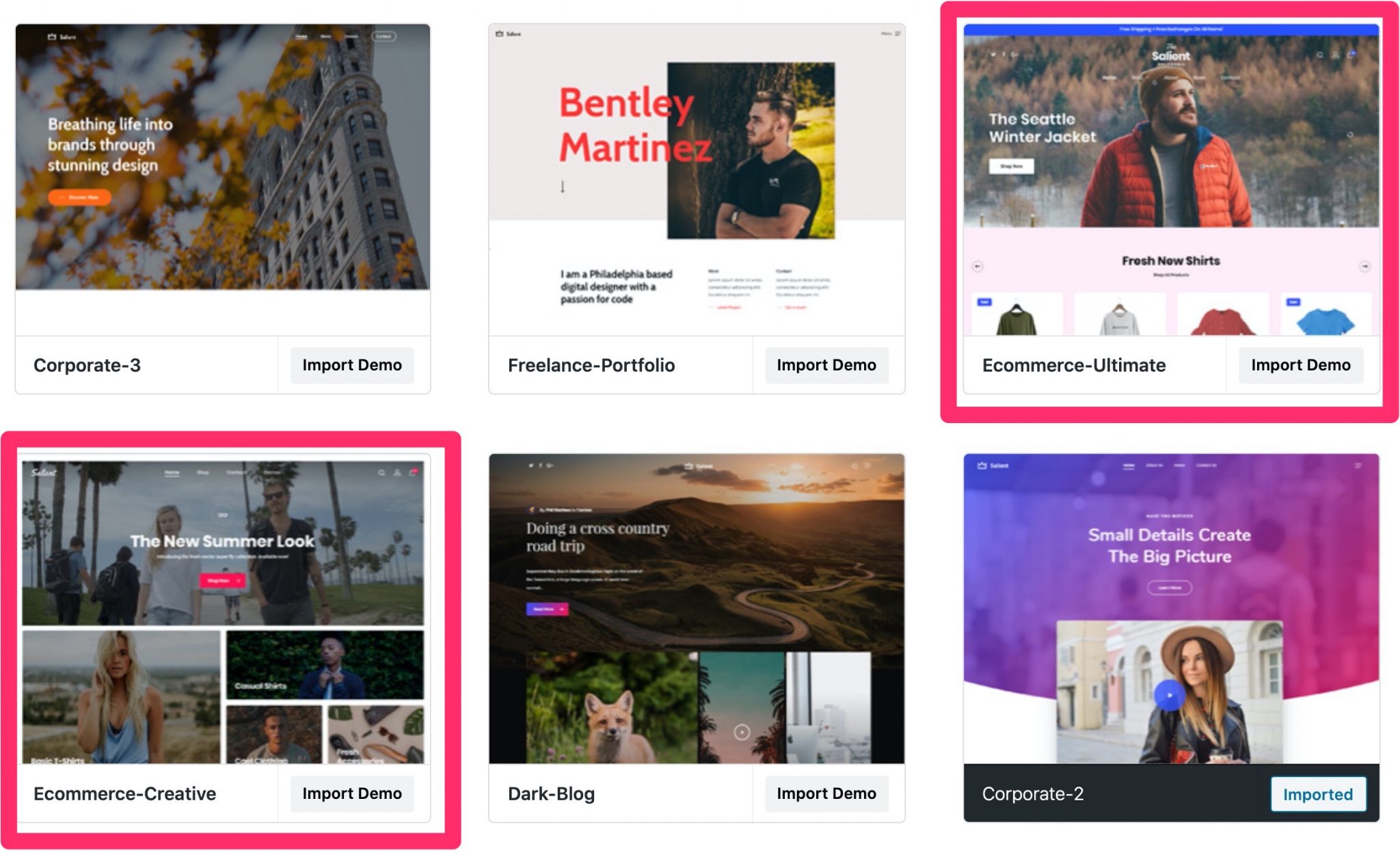 Ecommerce Ultimate and Ecommerce Creative demos on Salient theme