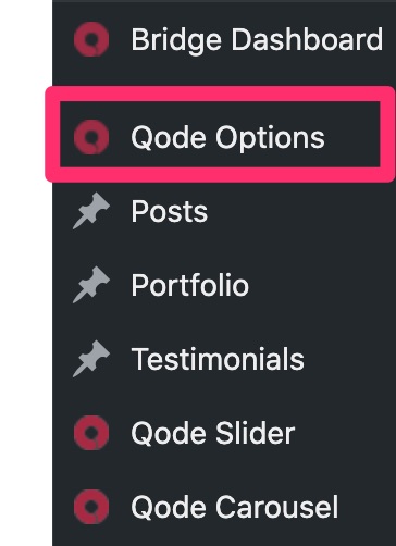 Qode Options menu