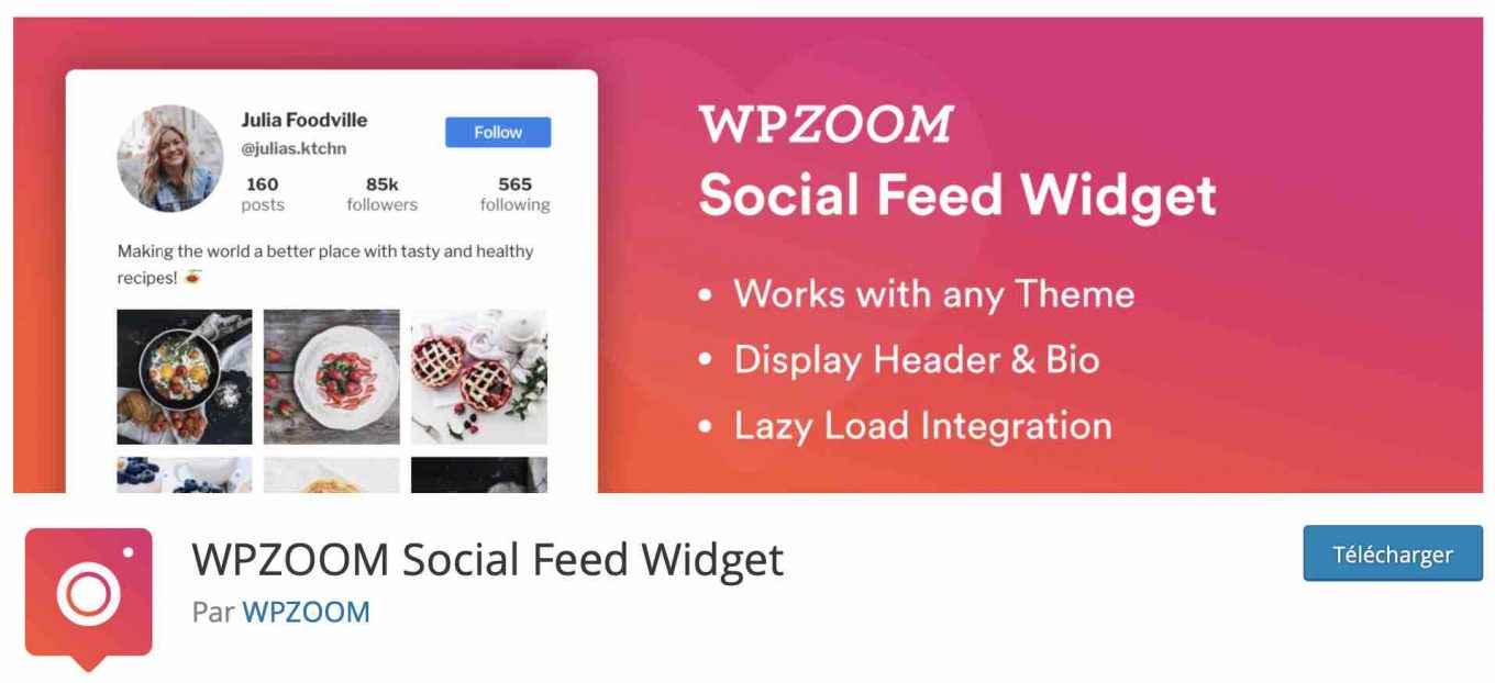 WPZoom Social Feed Widget