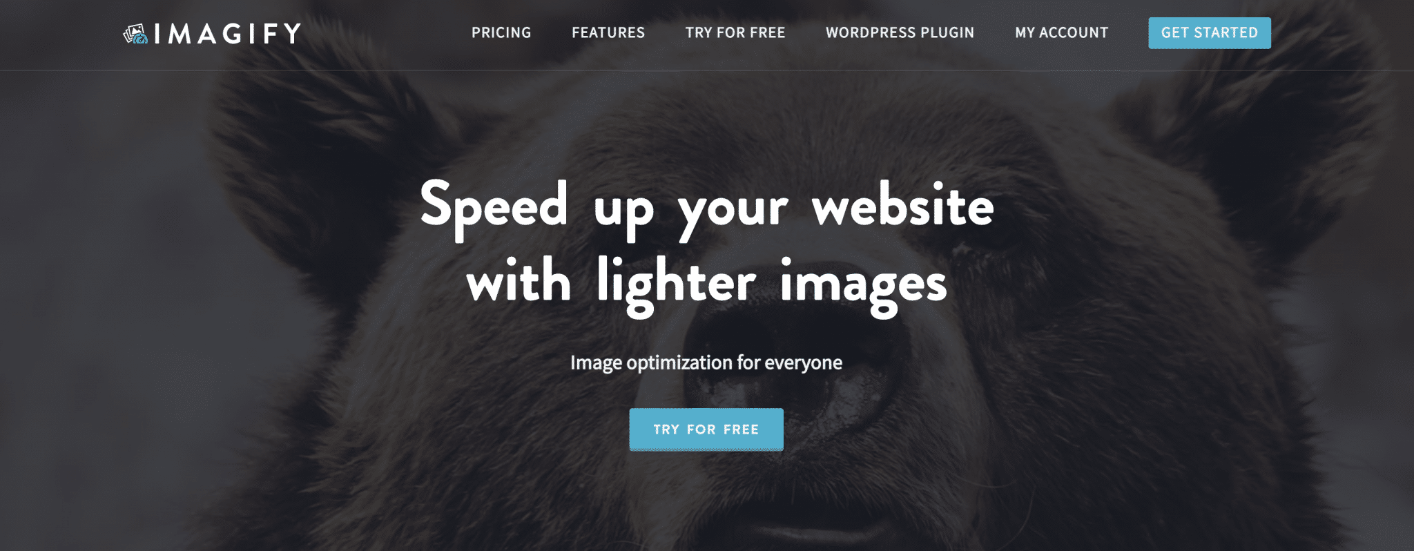 Homepage of Imagify's website