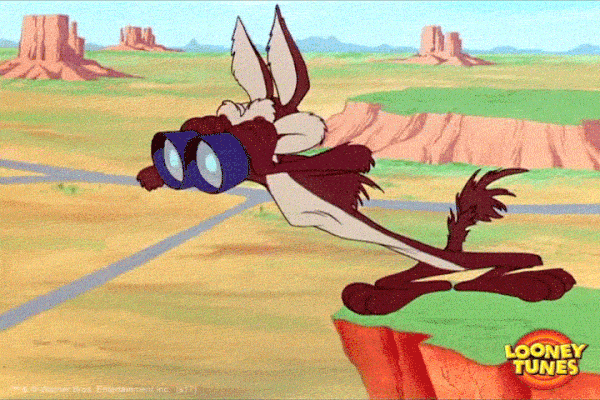 Coyote using binoculars.