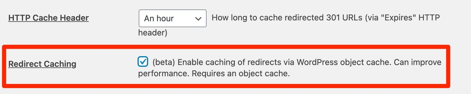 Redirect Caching in the WordPress Redirection plugin.