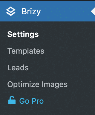 Brizy page builder settings menu on the WordPress administration.