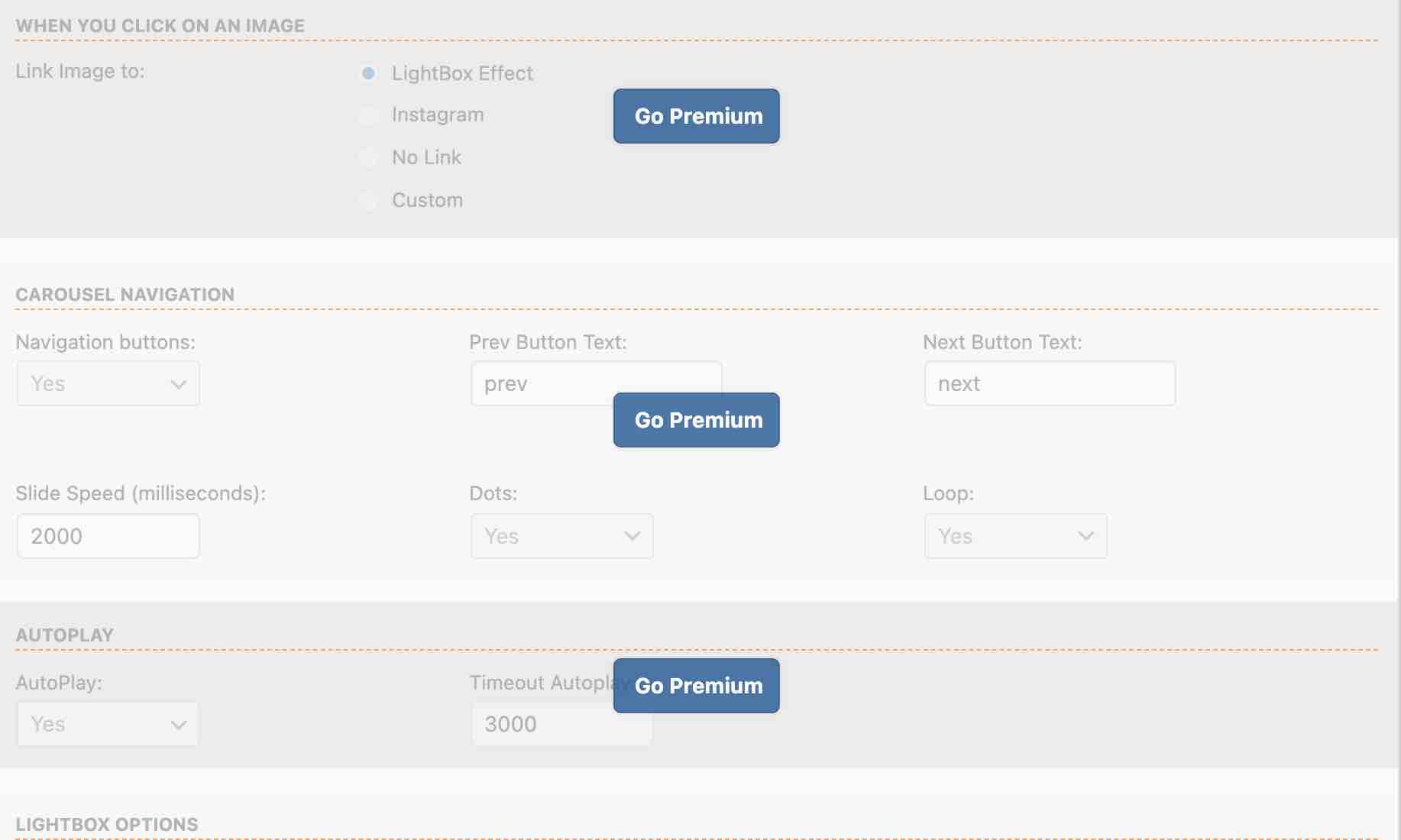 Enjoy Social Feed plugin settings and Go Premium buttons.