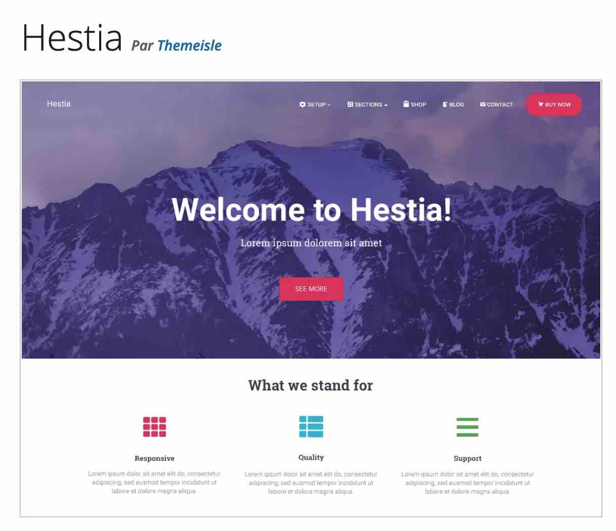 Le thème Hestia WordPress est présent sur le répertoire officiel.