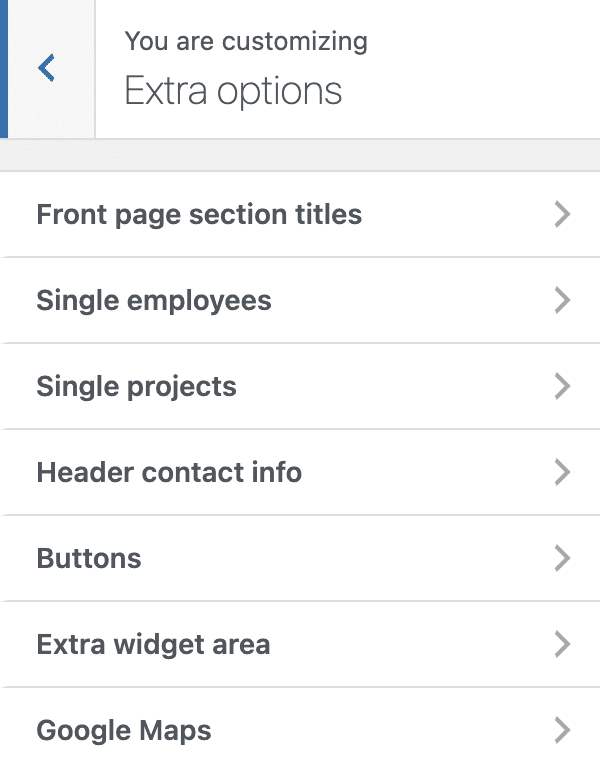 Sydney Pro extra options settings on WordPress.