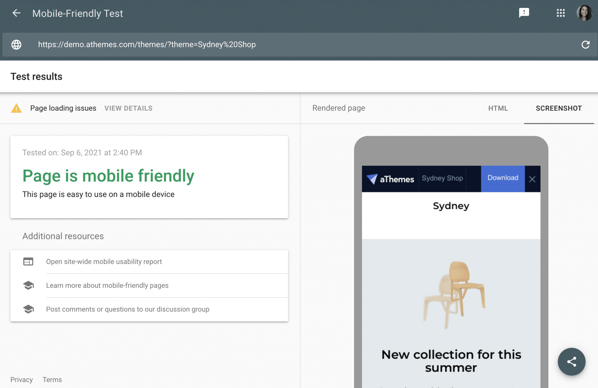 Google mobile-friendly test on the Sydney "Shop" demo.