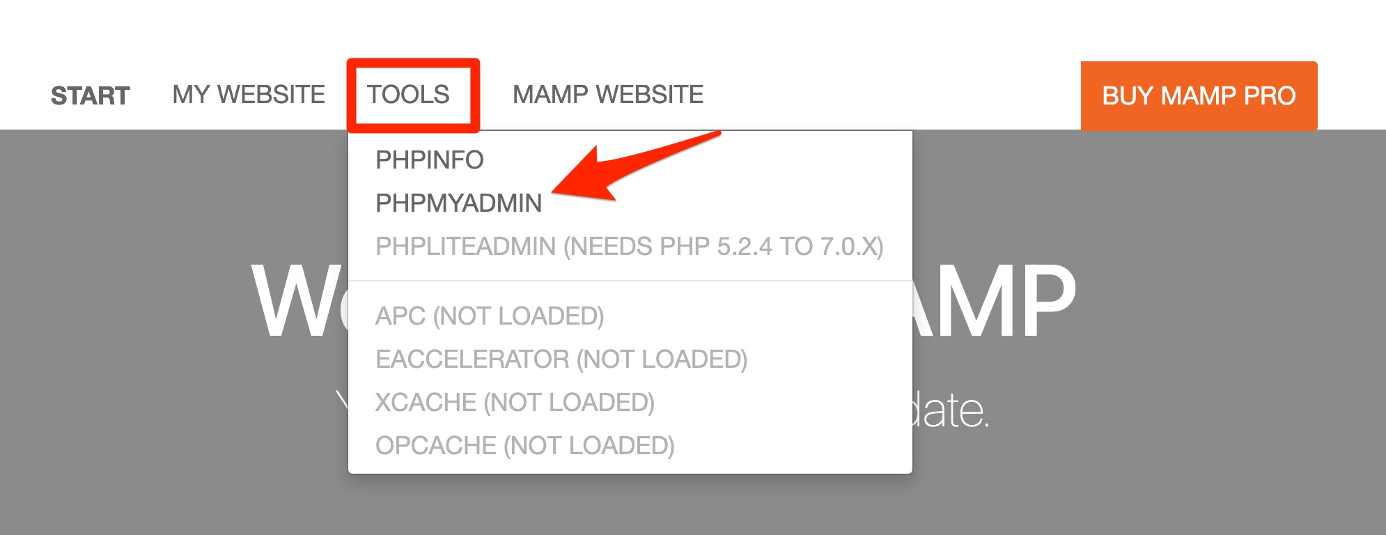 phpMyAdmin access from MAMP.
