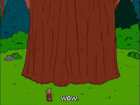 GIF of a big tree to illustrate the big size of WooCommerce, the most used ecommerce plugin on the market.