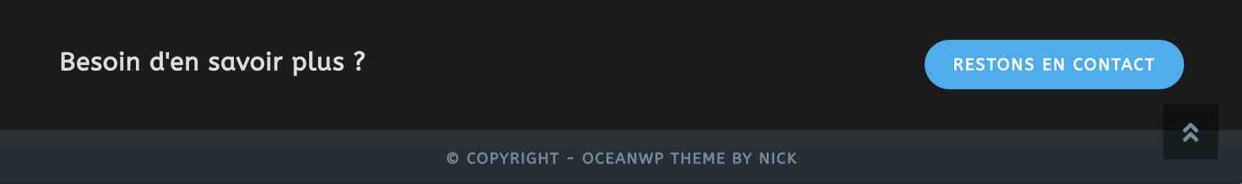L'extension Footer Callout sur OceanWP.