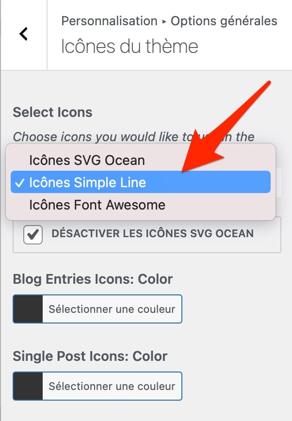 OceanWP permet d'ajouter des icônes personnalisées.