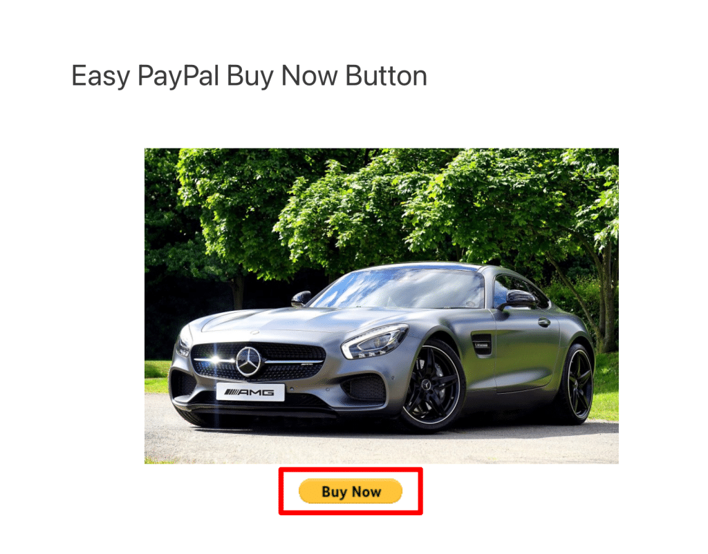 How the Easy PayPal Buy Now Button looks like on a website.