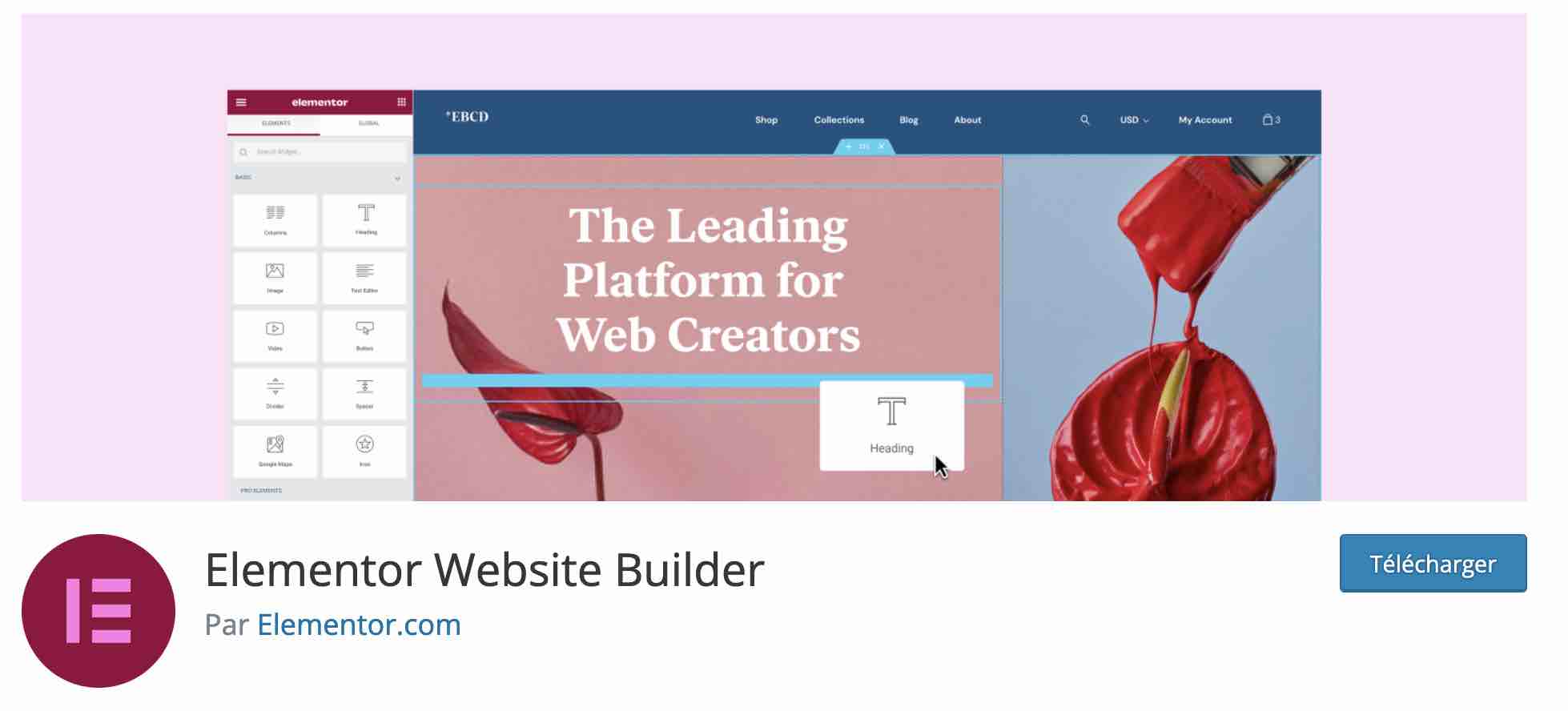 Elementor is a plugin that allows you to create an advanced WordPress menu.