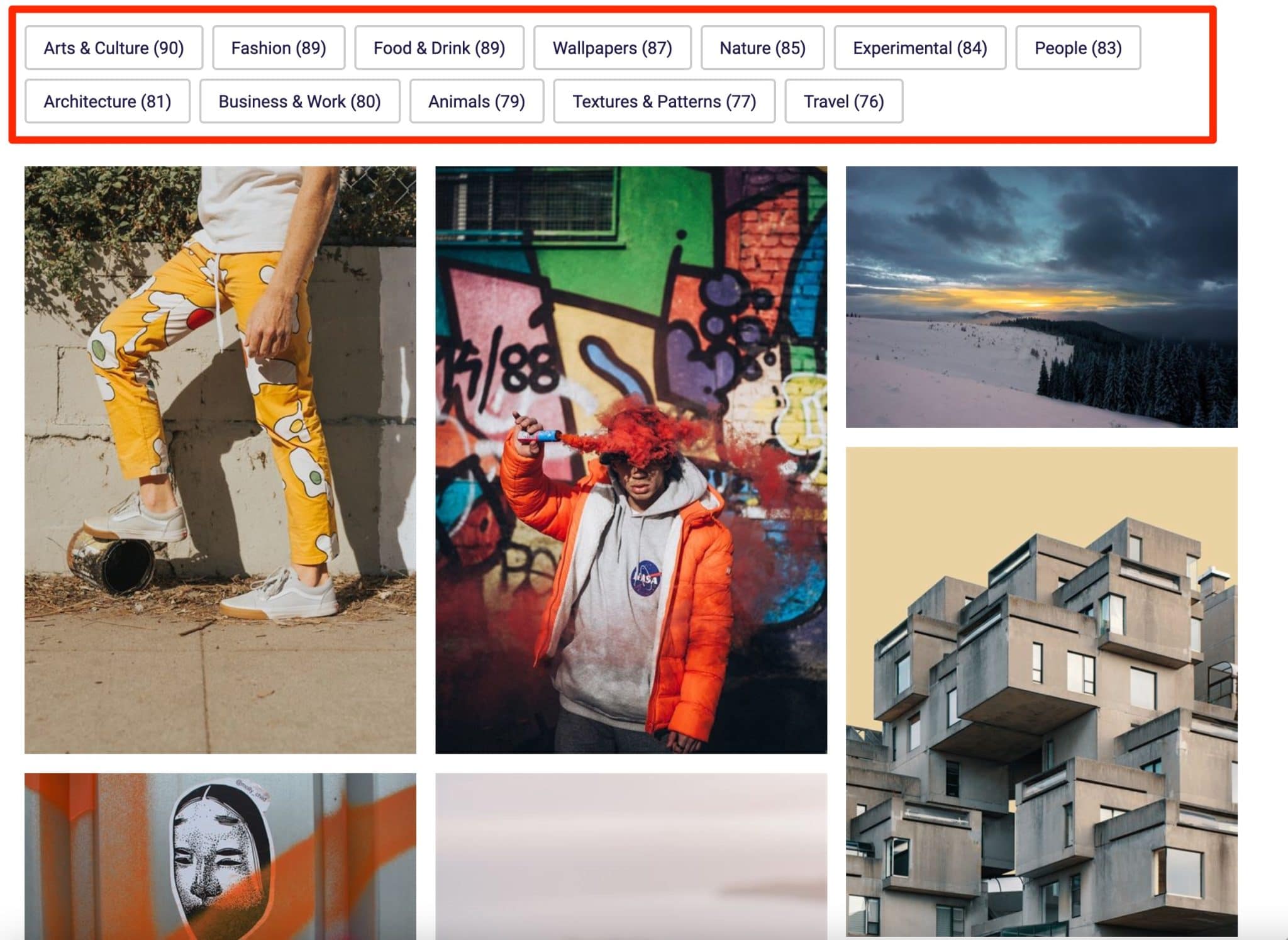 You can search for images by category in a Portfolio thanks to WP Grid Builder on WordPress.  