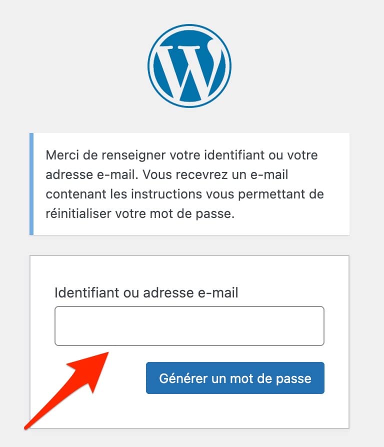 The insert allowing to add a new password on WordPress.