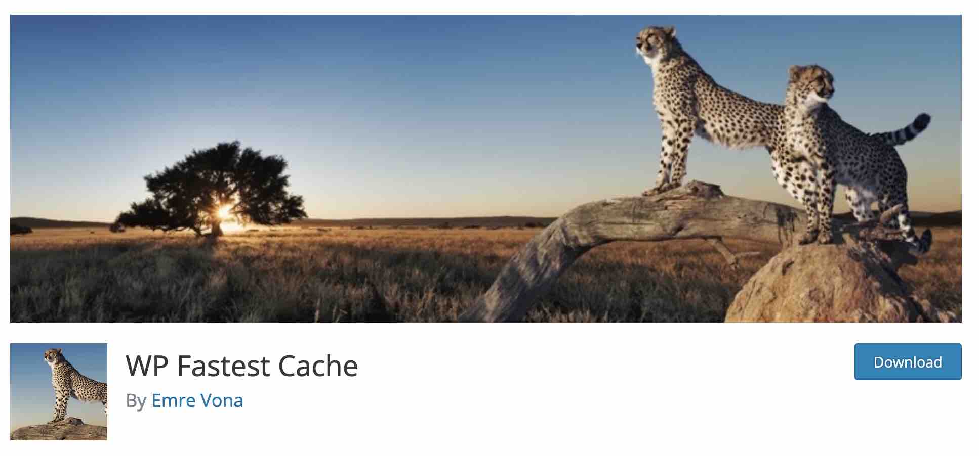 WP Fastest Cache plugin improves the site speed. 