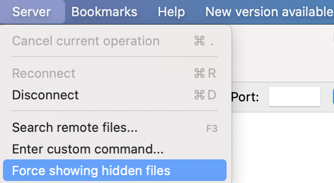 How to display hidden files on your server. 