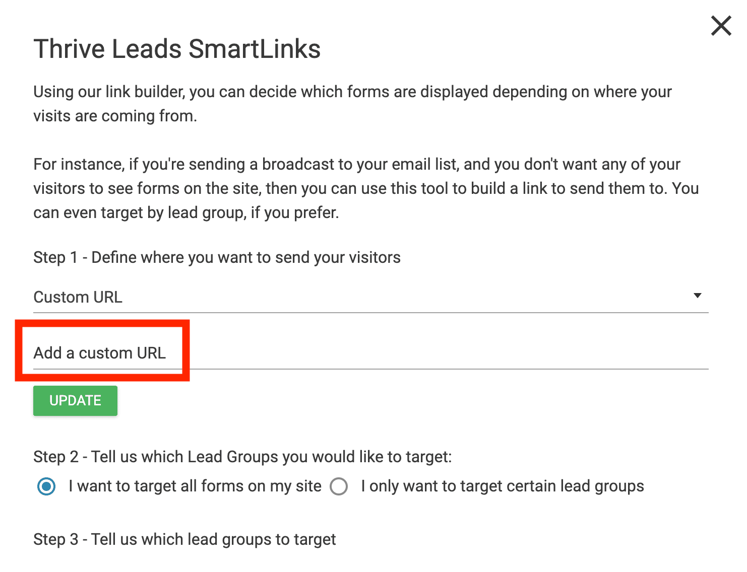 Add a custom URL on Thrive Leads Smart Links.