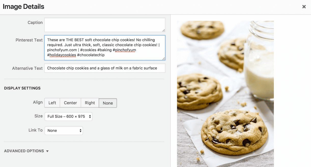 An example of SEO for an image on Pinterest with Tasty Pins.