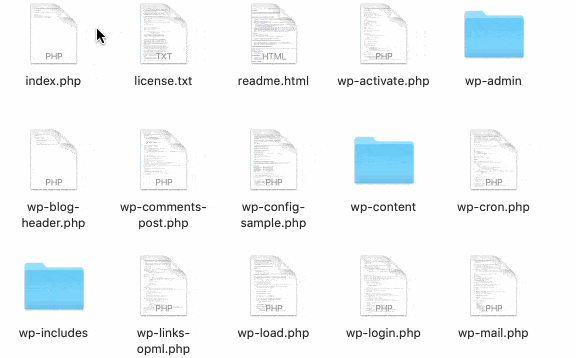 The folder with the WordPress files.