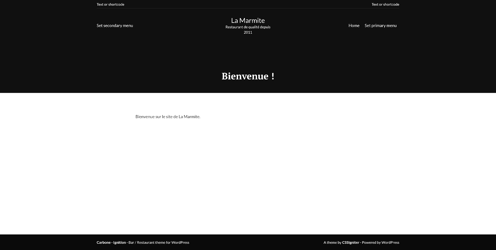 Page d'accueil d'un site avec le thème Carbone, sans avoir importé de démo.