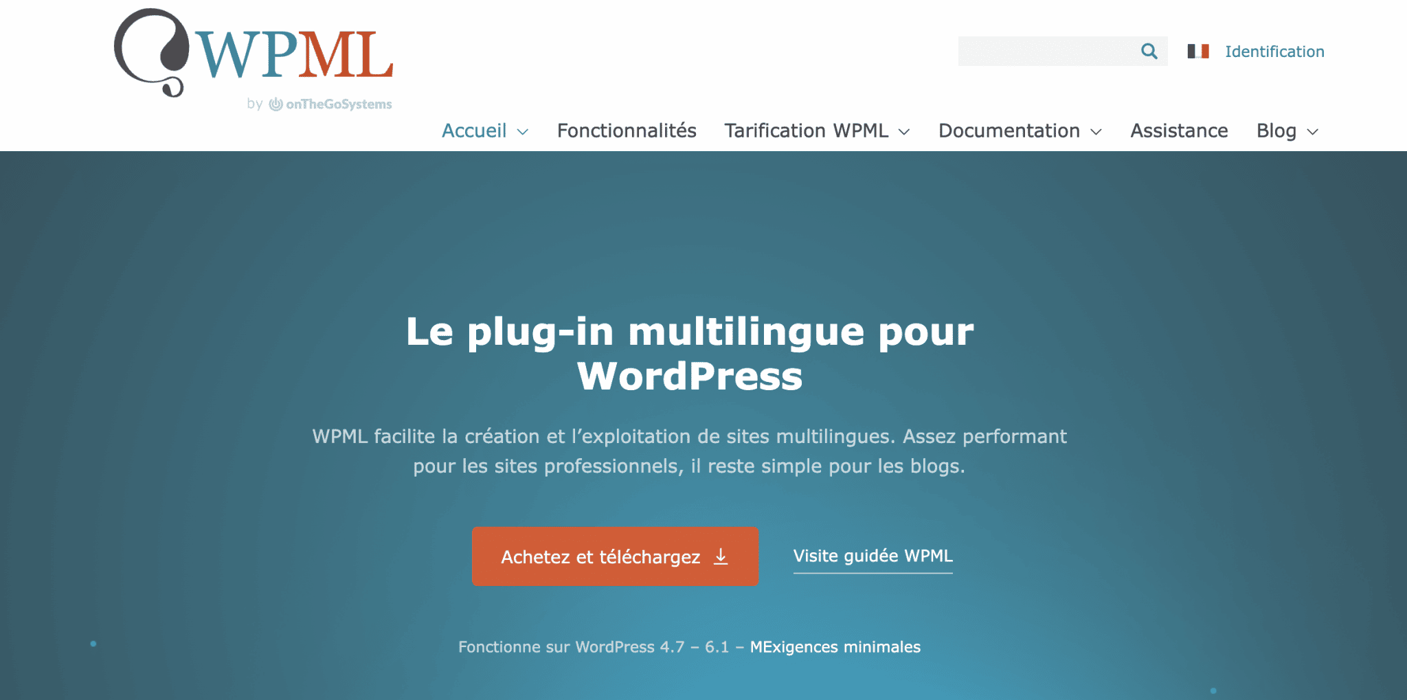 L'accueil du site de WPML, le plugin multilingue sur WordPress.