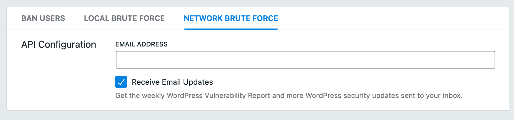 Network brute force offered by iThemes Security.