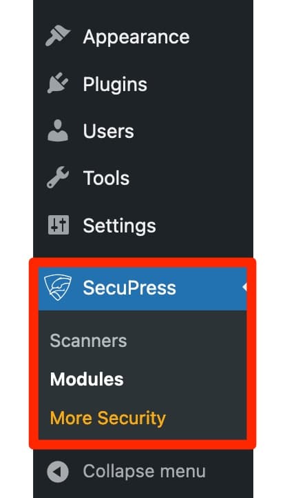 The options in the SecuPress menu.