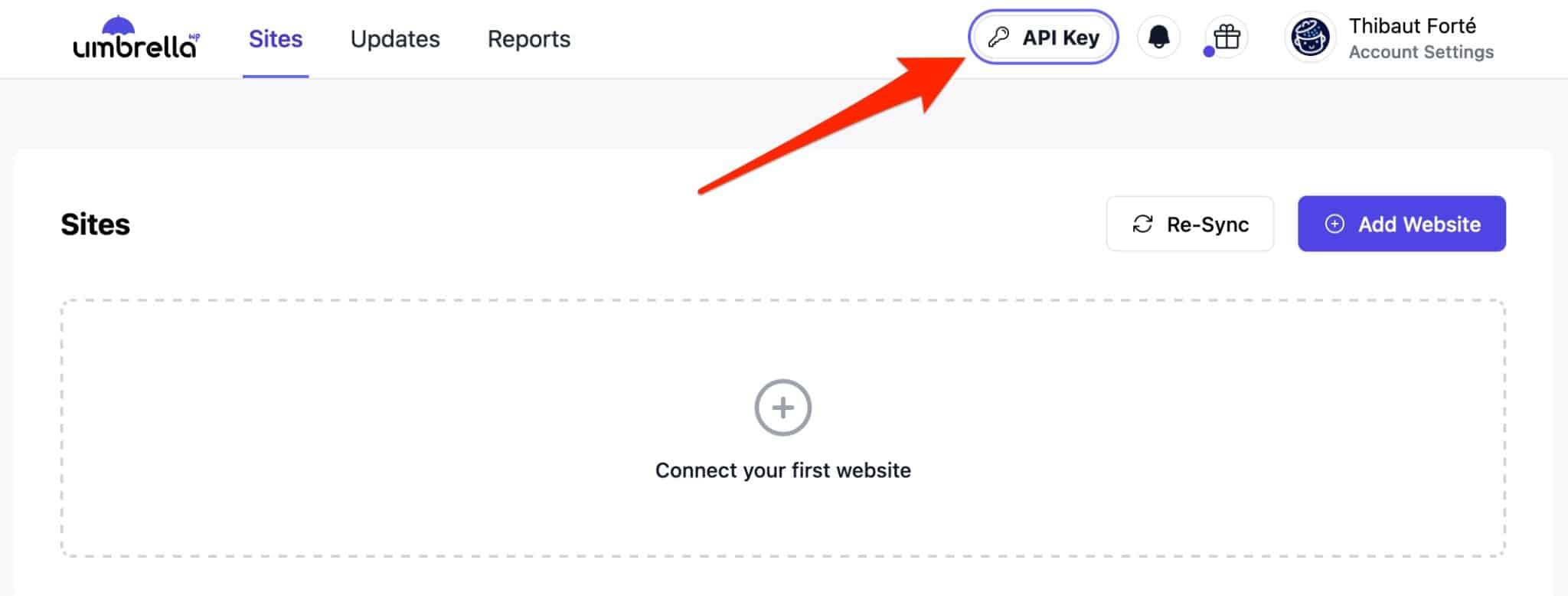 Add your API key in the WP Umbrella settings.