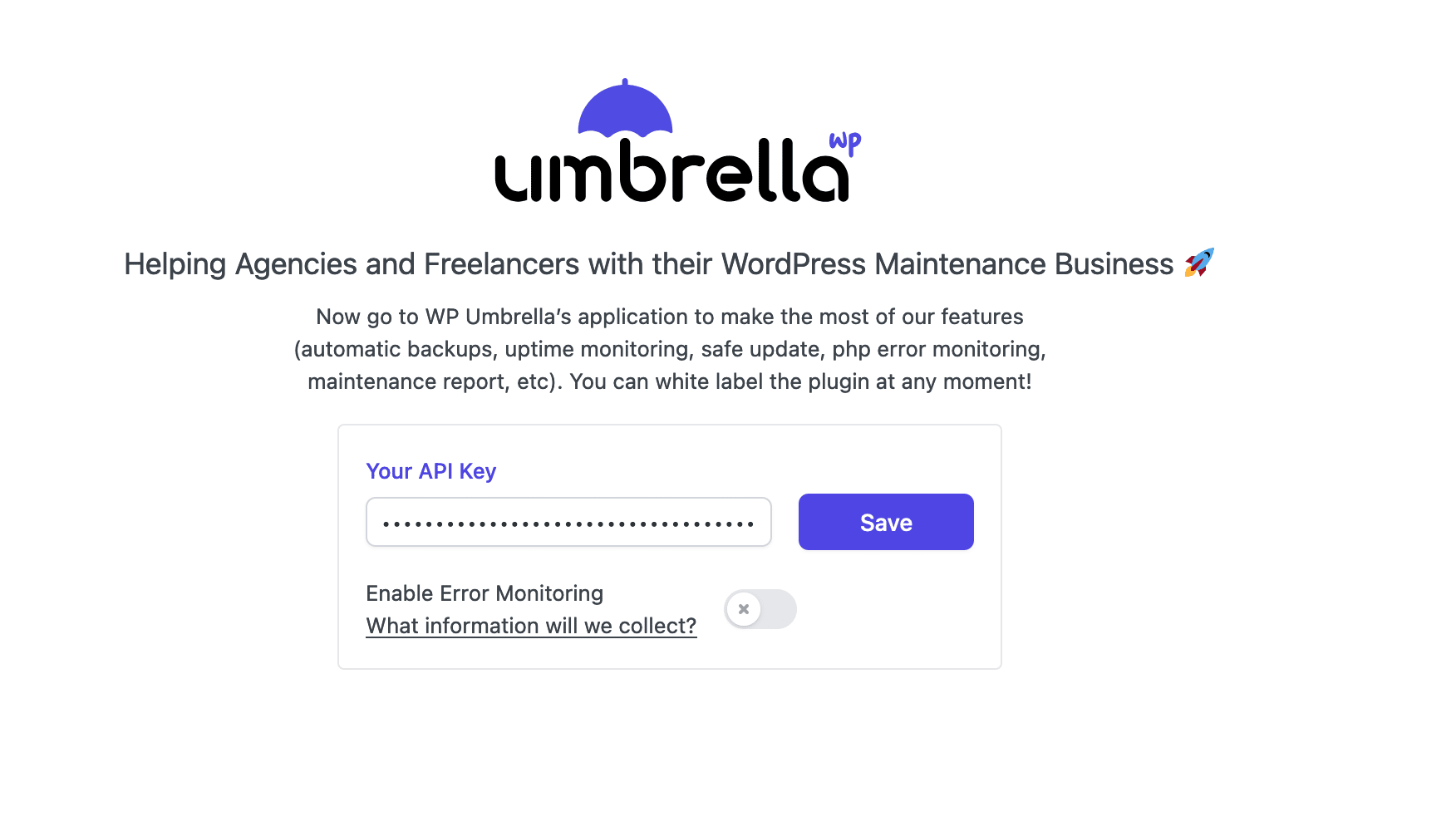 Save your WP Umbrella API Key.