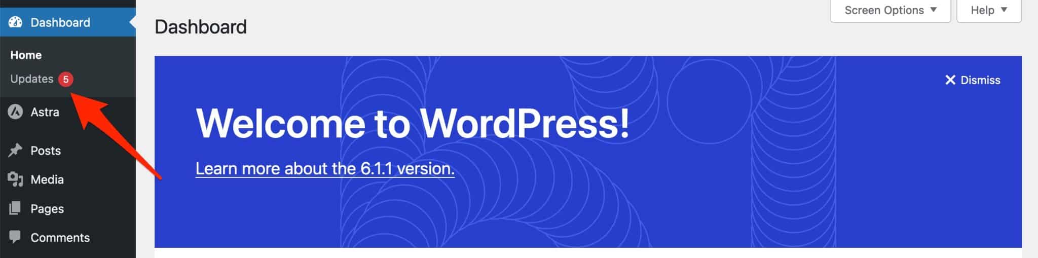 The WordPress admin interface will alert you when updates are available.