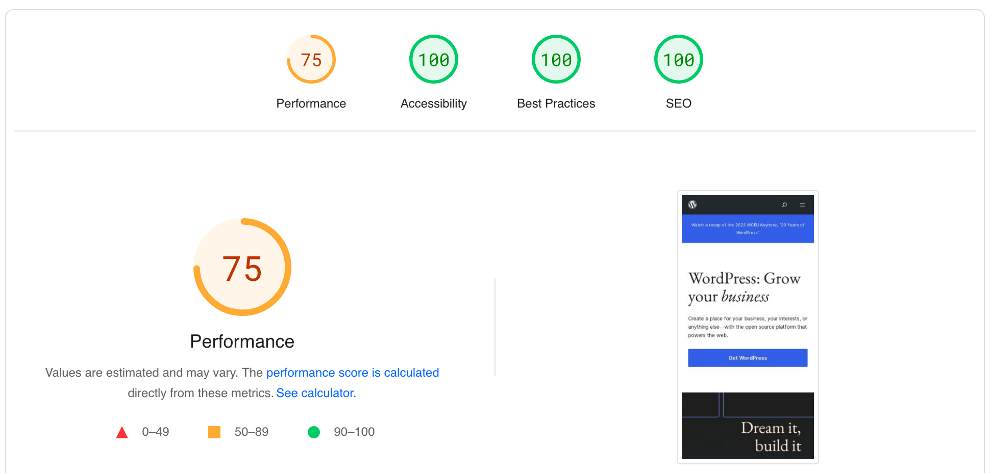Example score from PageSpeed Insights.