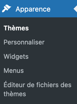Le menu Apparence d'un thème WordPress classique.