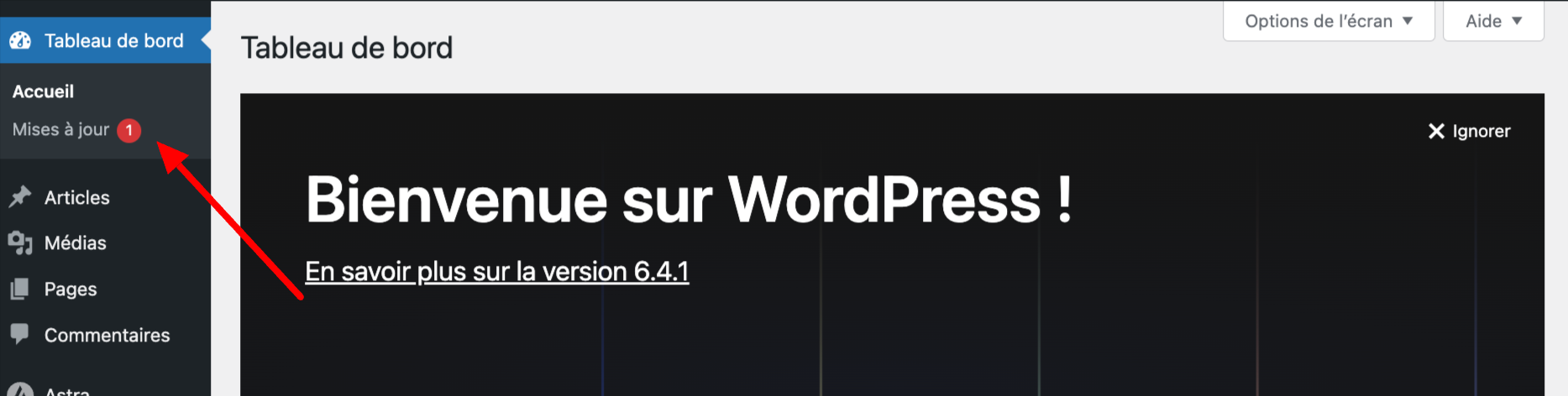 L'interface d'administration de WordPress vous signale quand une mise à jour est disponible.