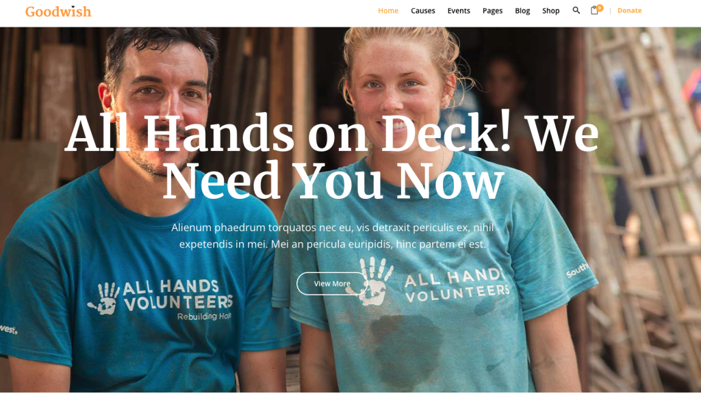 Site internet d'une association à la recherche de bénévoles